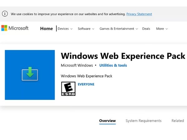 What Is Windows Client Web Experience ?